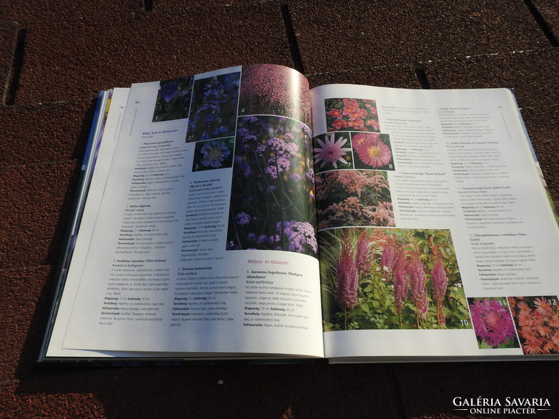 Reader digest's: four seasons in the garden - late summer