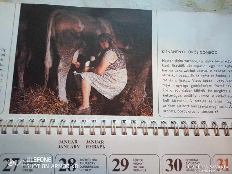 Szatmári parasztételek, emlékek - 1982-es asztali naptár