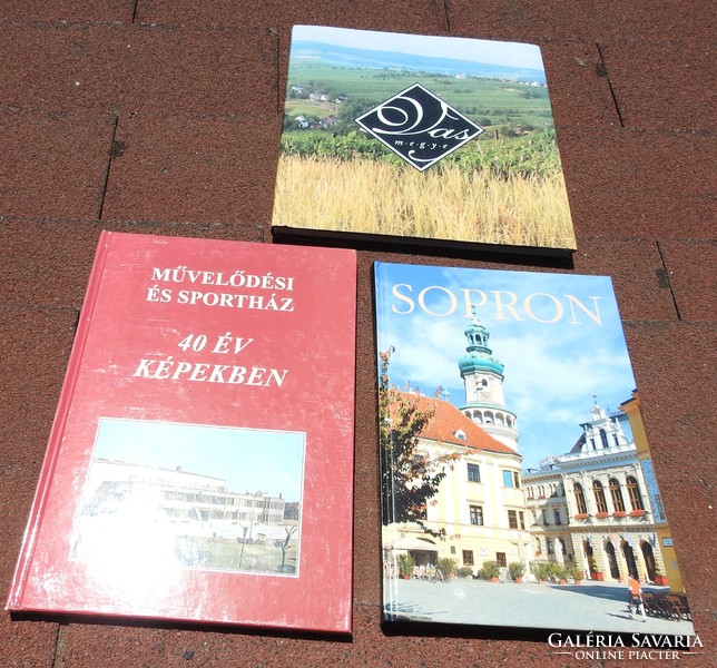 Sopron - cultural and sports house 40 years in pictures - iron county