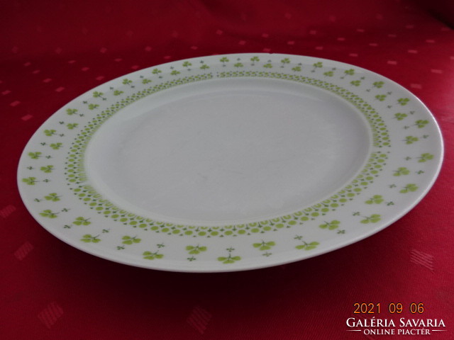 Lowland porcelain, parsley patterned flat plate, diameter 24 cm. He has!