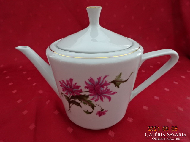 Great Plain porcelain teapot with cyclamen flower, height 17 cm. He has!