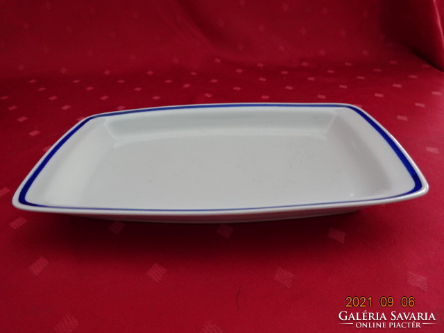 Lowland porcelain bowl with blue stripes. Its size is 23.5 x 14.5 x 2.5 cm. He has!