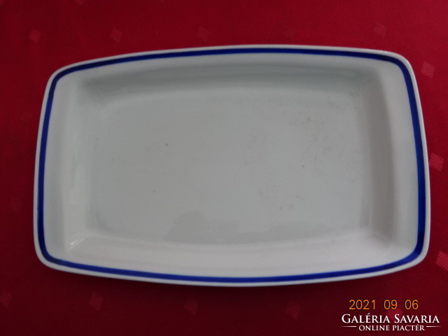 Lowland porcelain bowl with blue stripes. Its size is 23.5 x 14.5 x 2.5 cm. He has!
