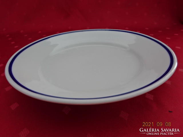 Zsolnay porcelain flat plate with a blue stripe on the edge, diameter 23.5 cm. He has!