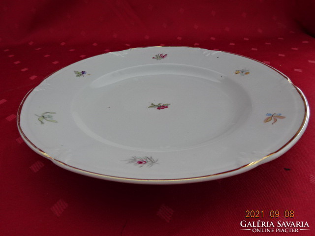 Drasche porcelain flat plate with a small pattern, diameter 23.5 cm. He has!