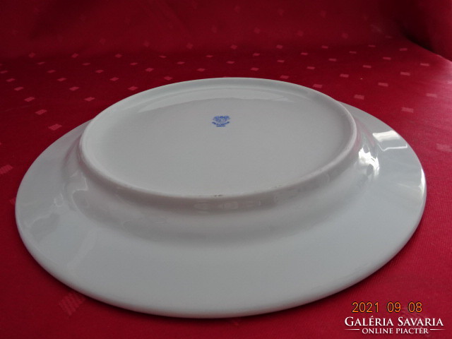 Plain porcelain flat plate with a red stripe - gilded, diameter 23.8 cm. He has!