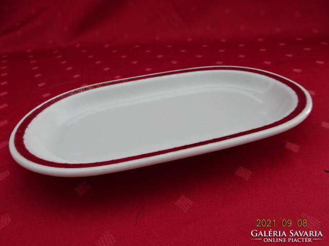 Alföldi porcelán ovális tányér, bordó alapon aranyozott csíkkal. Vanneki!