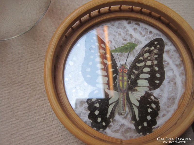 6 Glass coasters with butterflies!