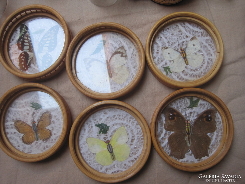 6 Glass coasters with butterflies!