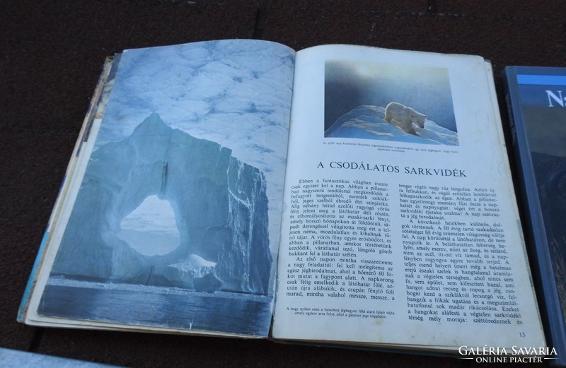 Walt Disney  A természet világa Az állatvilág enciklopédiája Nagy növényevők Emlősök Ahol a cápa jár