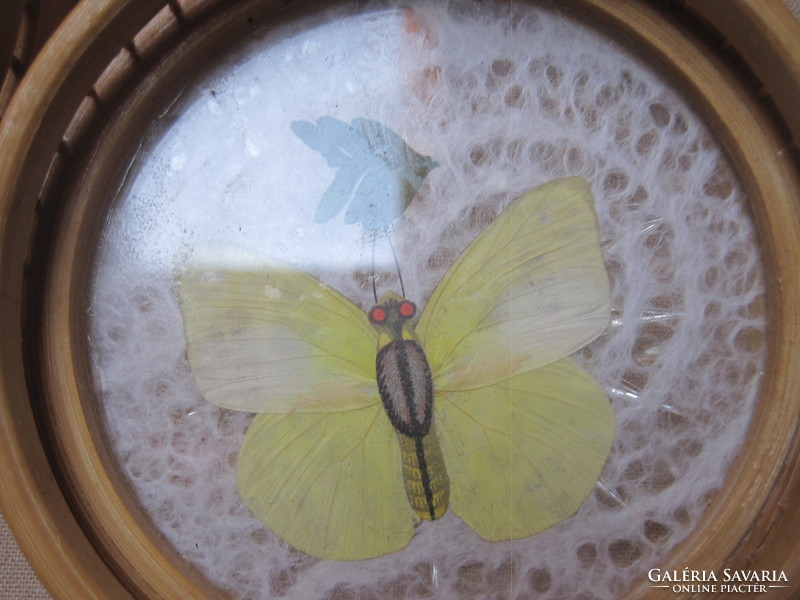 6 Glass coasters with butterflies!