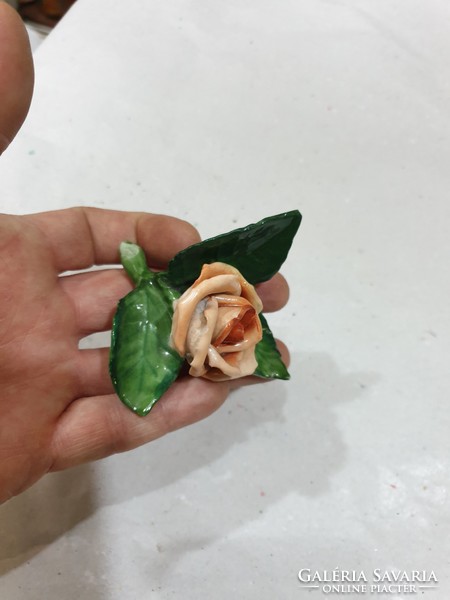 Herendi rózsa