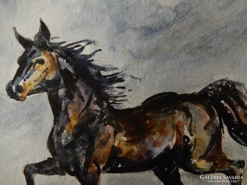 László István: black horse, watercolor