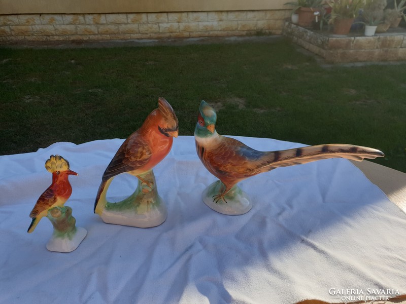 Bodrogkeresztúra pheasant, rooster for sale!