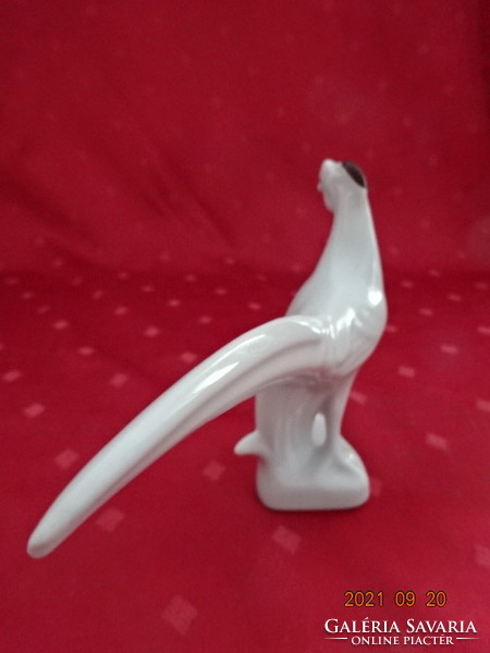 Porcelán figura, fehér fácán kakas, hossza 18 cm. Vanneki!