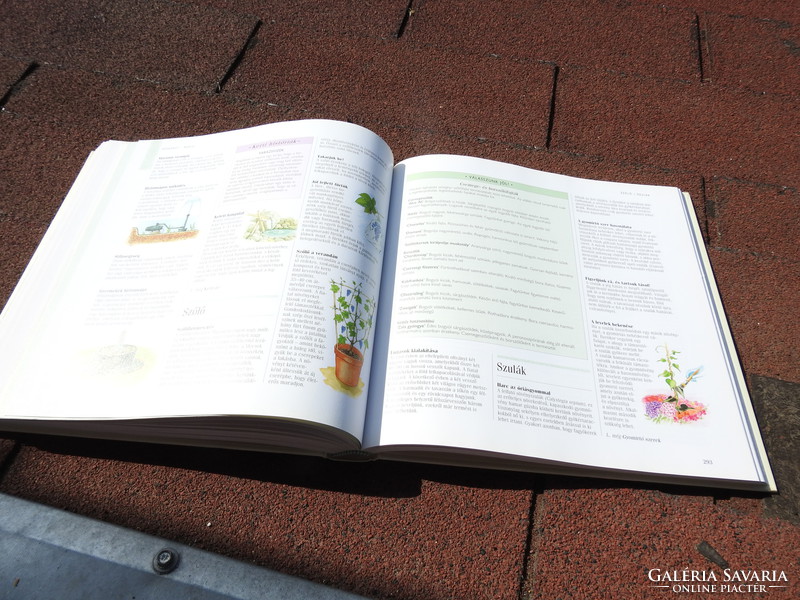 1001 Things to do in the garden - ideas and tips for residential gardens