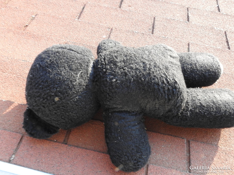 Huge antique black teddy bear - teddy bear