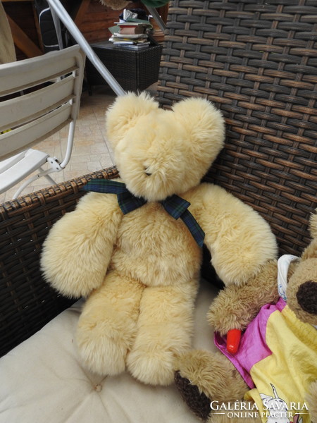 Big teddy bear from collection
