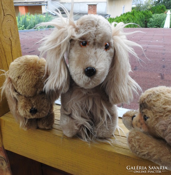 Old plush dog - spaniel etc ...