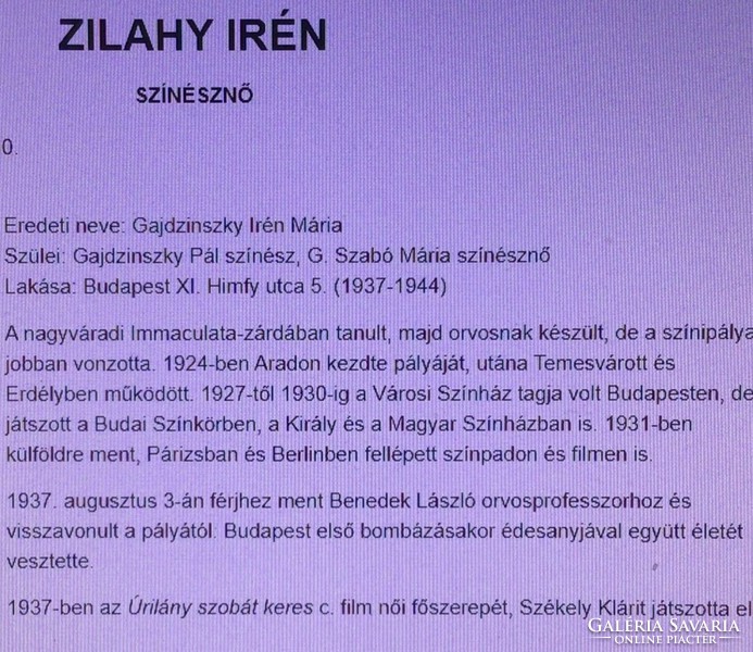 Early portrait of Zilahy irén