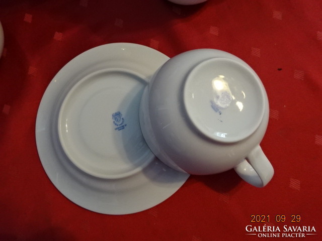 Great Plain porcelain tea set for six people, 15 pieces, with black - gold pattern. He has!