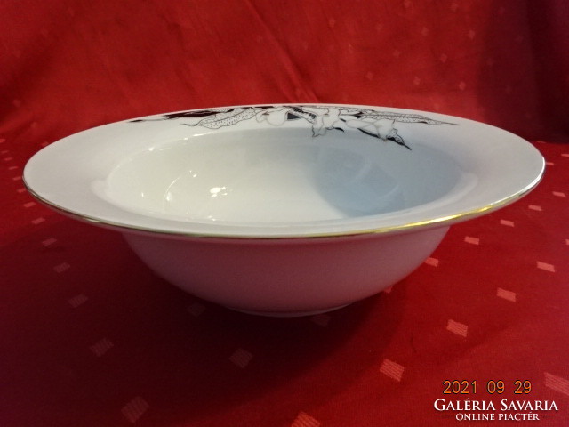 Great Plain porcelain garnished bowl with black - gold pattern, diameter 24.5 cm. He has!