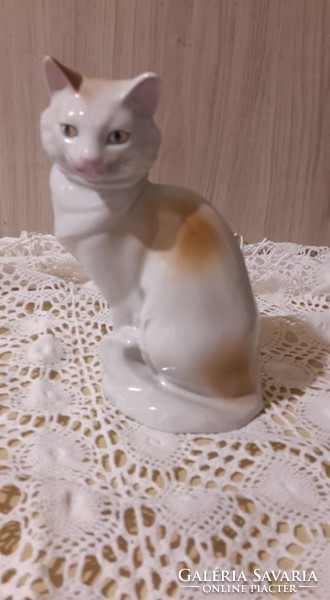 Rare! Drasche porcelain kitten, cat, hand painted
