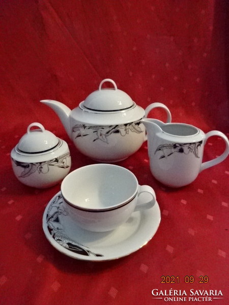 Great Plain porcelain tea set for six people, 15 pieces, with black - gold pattern. He has!