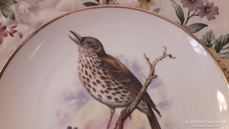 Sparrowhawk, bird porcelain plate, decorative plate