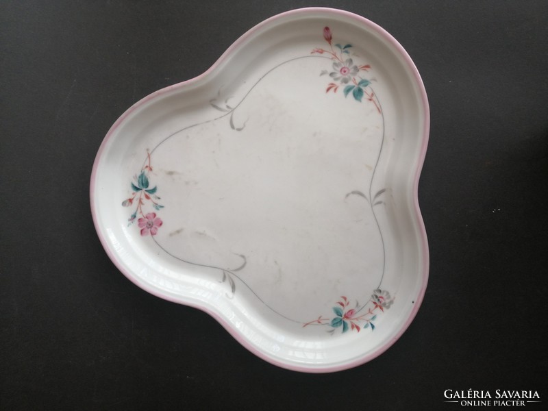 Antique Czech haas & czjzek schlaggenwald porcelain hand-painted floral decorated bowl, tray - ep