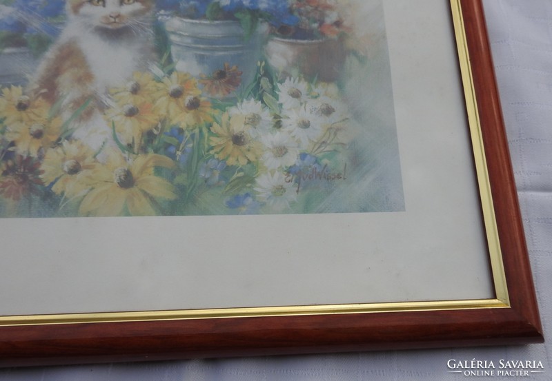 Aláírt nyomat : Macska a virágok között - cica minőségi nyomat, elegáns keretben