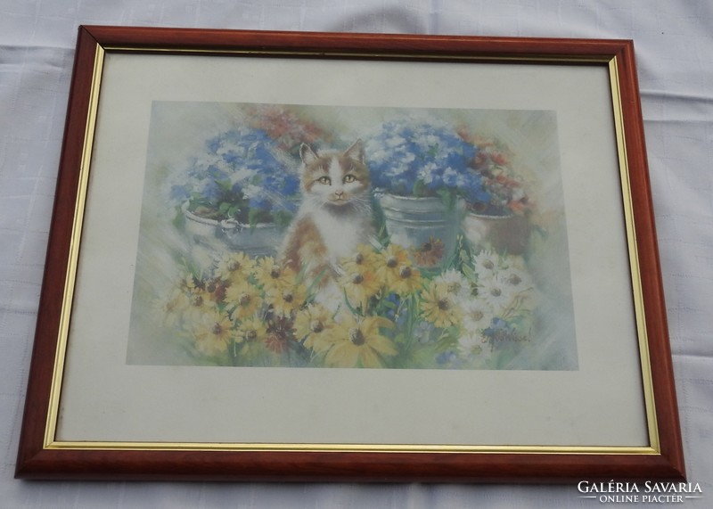 Aláírt nyomat : Macska a virágok között - cica minőségi nyomat, elegáns keretben