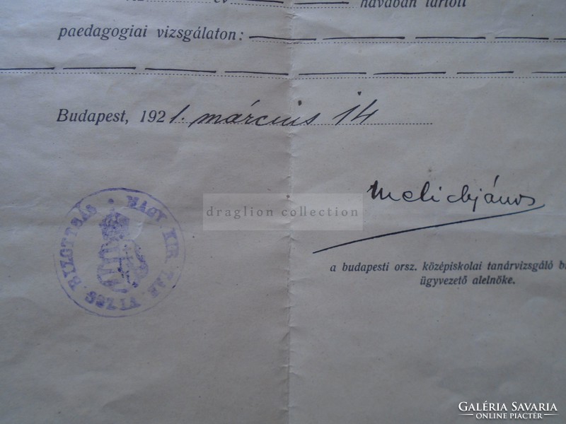 G21.807 Egyetemi értesítő  Diószeghi Jolán magyar földrajz 1917 - 1920 - Budapest 1921