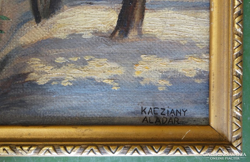 Aladár Kacziány: sunny yard
