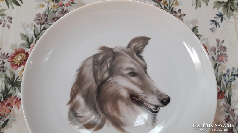 Scottish Shepherd porcelain wall decorative plate