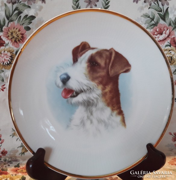 Fox doggy porcelain plate, wall plate