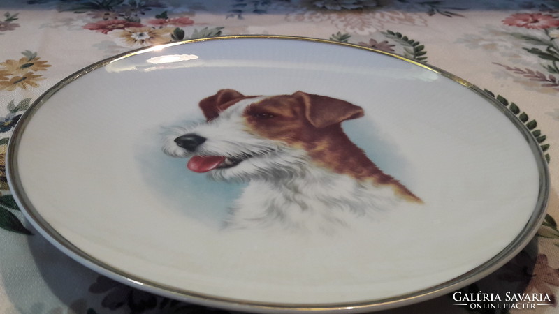 Fox doggy porcelain plate, wall plate