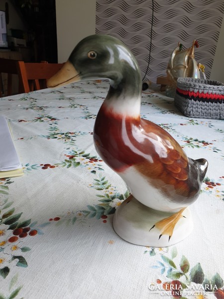 Bodrogkeresztúr duck for sale!