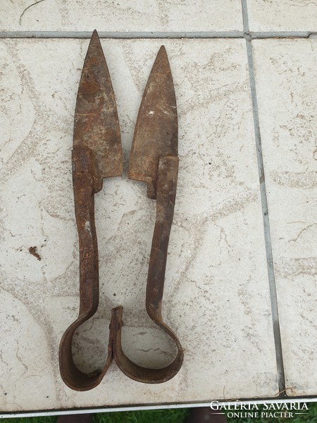 Antique sheep shears for sale!