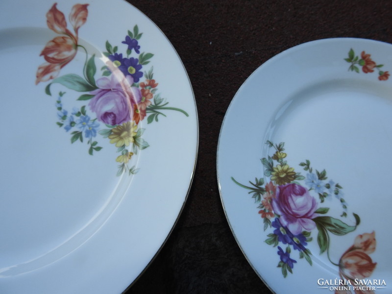 Flower pattern jlmenau plate set 1 large 2 small plates
