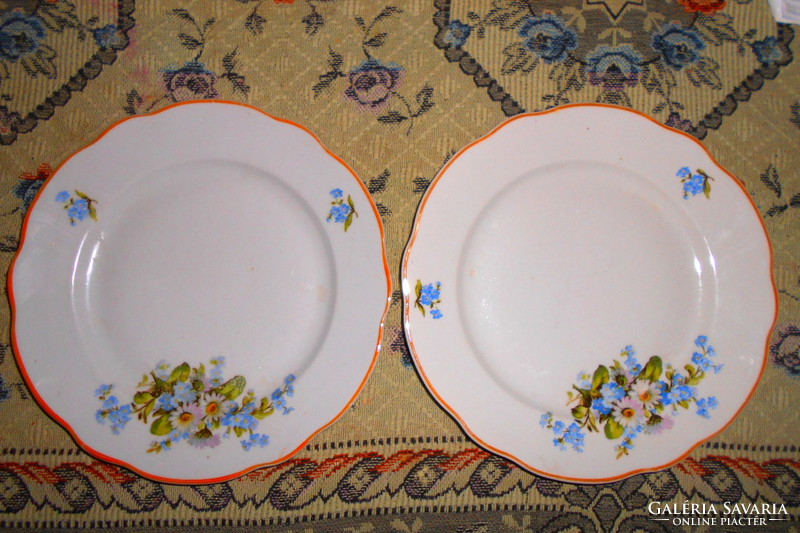 2 Zsolnay plates with flower bouquet pattern 1900 ft/pc