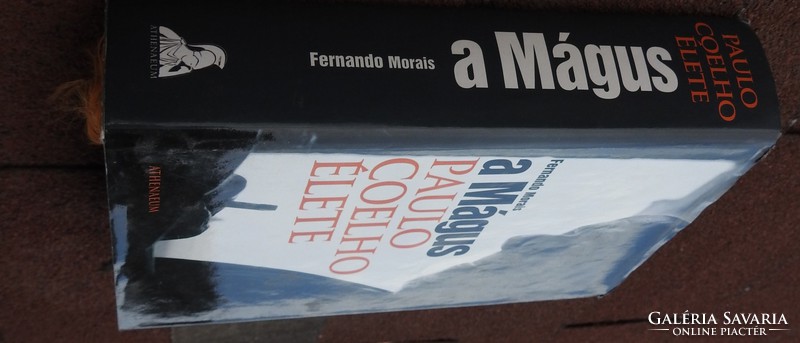 FERNANDO MORAIS: A MÁGUS - PAULO COELHO ÉLETE