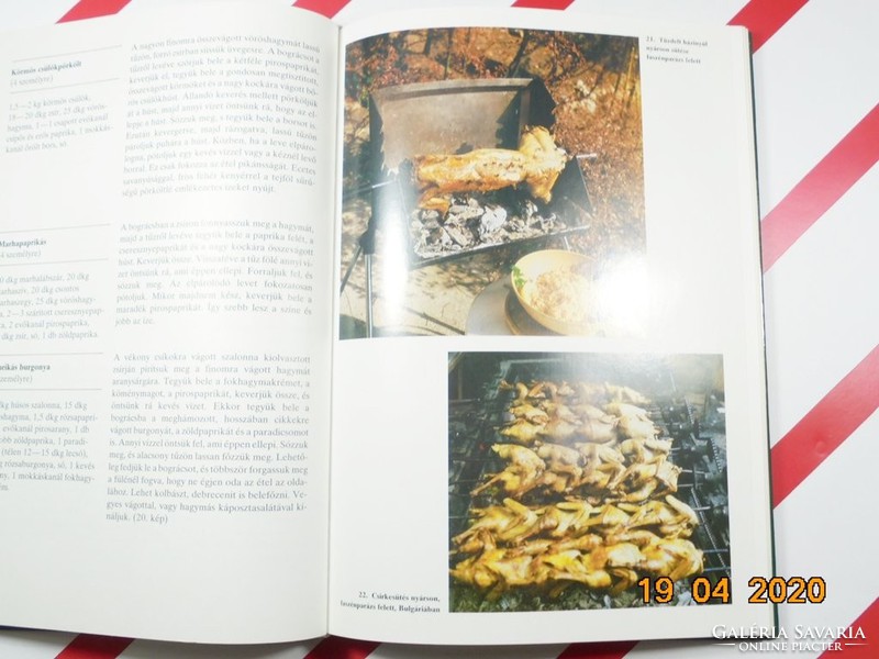 László Csizmadia: baking - cooking outdoors and in the weekend house - retro cookbook