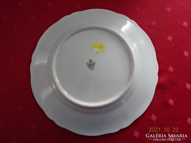 Seltmann weiden bavaria german porcelain flat plate. He has!