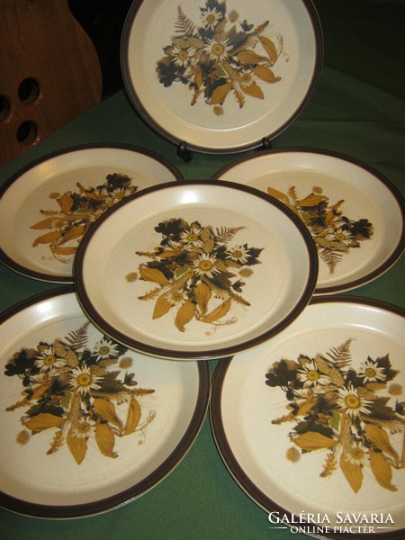 6 Piece plate staffordshire