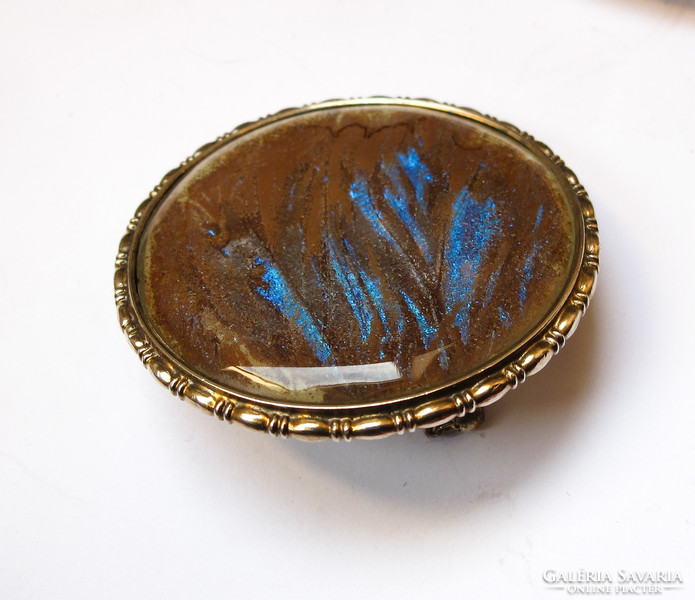 Viennese gilded silver brooch with azure butterfly wing decoration.