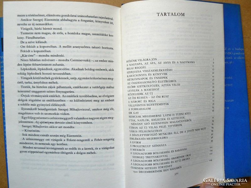 Eizenstein, Viktor Sklovsky 1977, (Moscow 1973), book in good condition