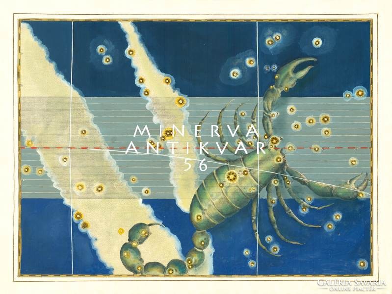 Scorpio Skorpió csillagkép konstelláció horoszkóp jegy Zodiákus REPRINT J.Bayer Uranometria 1625
