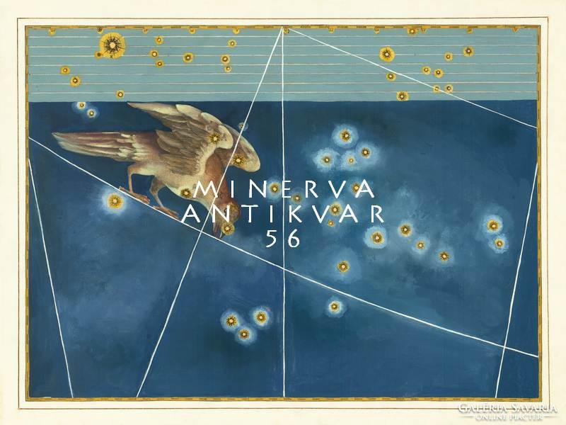 Corvus Holló csillagkép konstelláció égbolt térkép görög mitológia REPRINT J.Bayer Uranometria 1625
