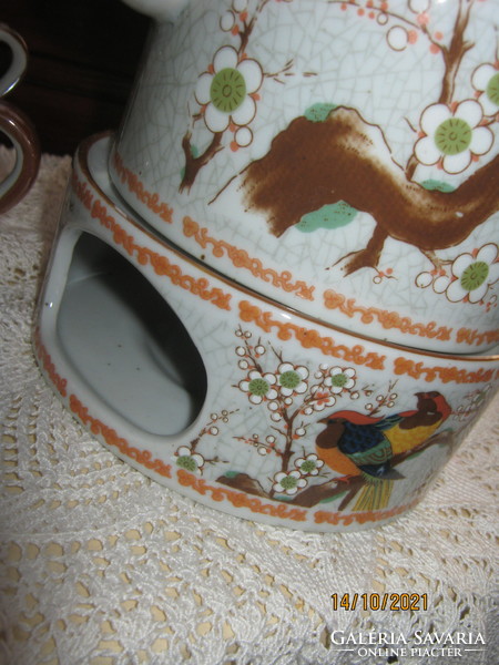 Oriental set bird